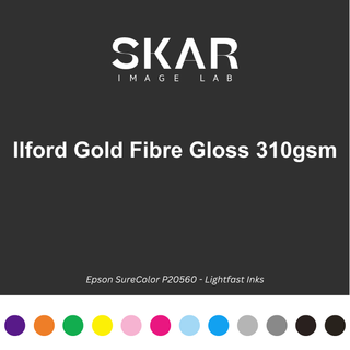 Premium Print Pack - Ilford Gold Fibre Gloss 310gsm