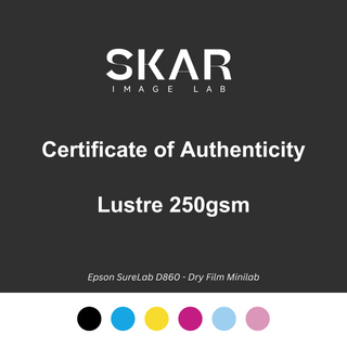 Certificate of Authenticity