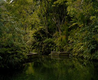 Upper Nihotupu Dam, 2014